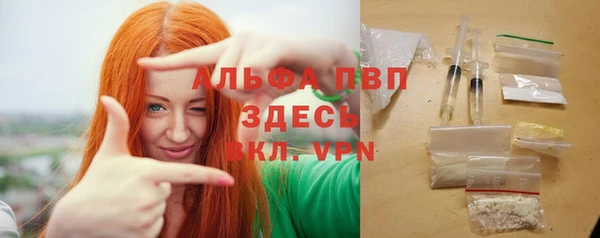 гидра Алексин
