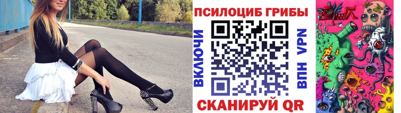 закладка Барнаул Псилоцибиновые грибы Cubensis