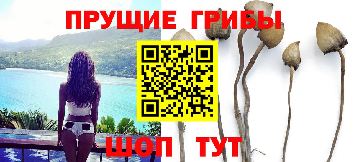 Псилоцибиновые грибы Magic Shrooms Барнаул